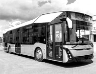 Автобусы